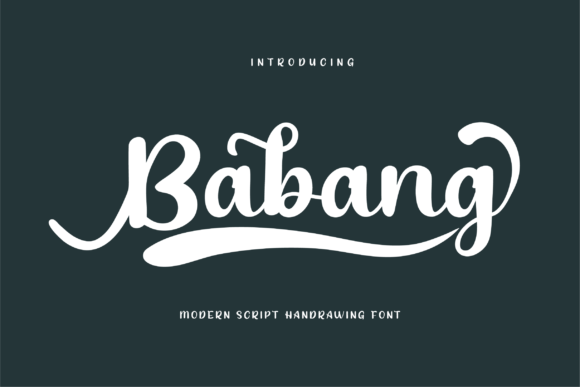 Babang: A Stylish Font for Business Branding