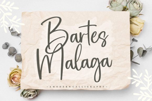 Bartes Malaga Font for Web Design